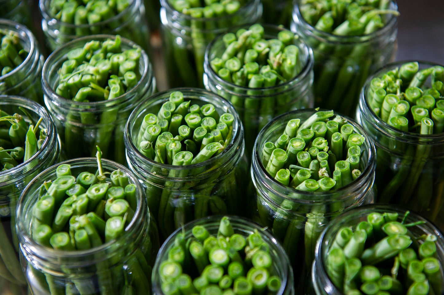 Pickled Green Beans: 16 oz.