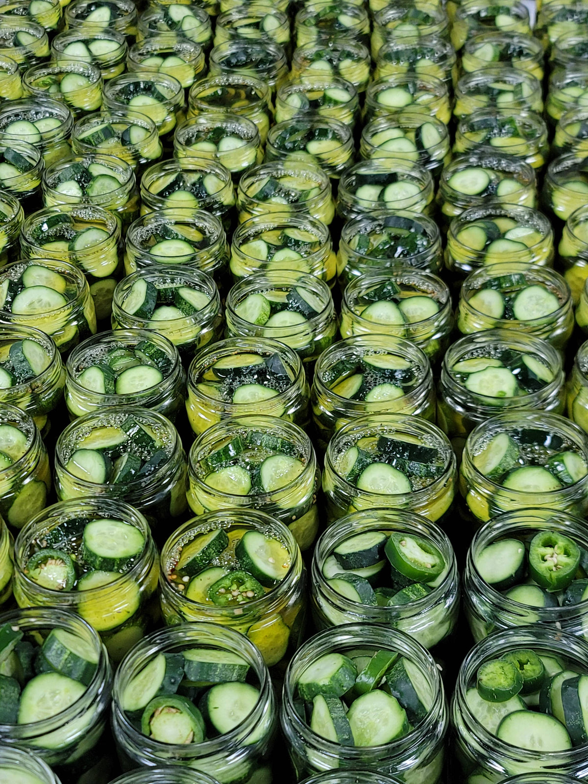 Bread and Butter Pickles- A classic sweet pickle, 16oz