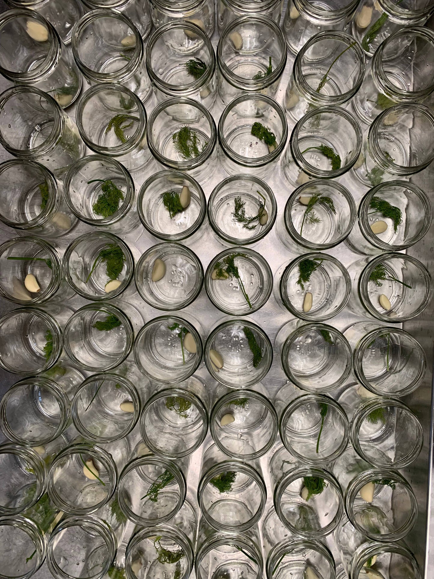 Dill Pickles