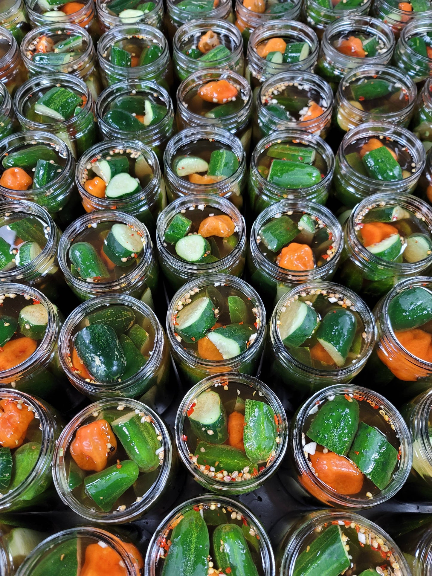 Spicy Garlic Dill 16oz